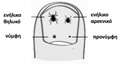 newsletter jul25 photo 1 1