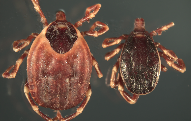 newsletter jul25 photo 1 2