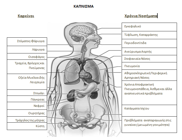 kapn1